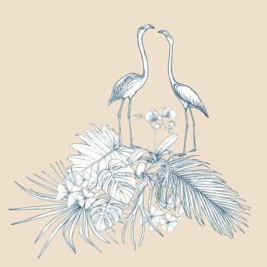 Tropikal bitki kompozisyonu, palmiye yaprakları, canavarlar ve flamingo botanik tarzı ile beyaz orkide. Grafik çizim, gravür tarzı. vektör çizim. Vintage mavi ve bej renklerini.