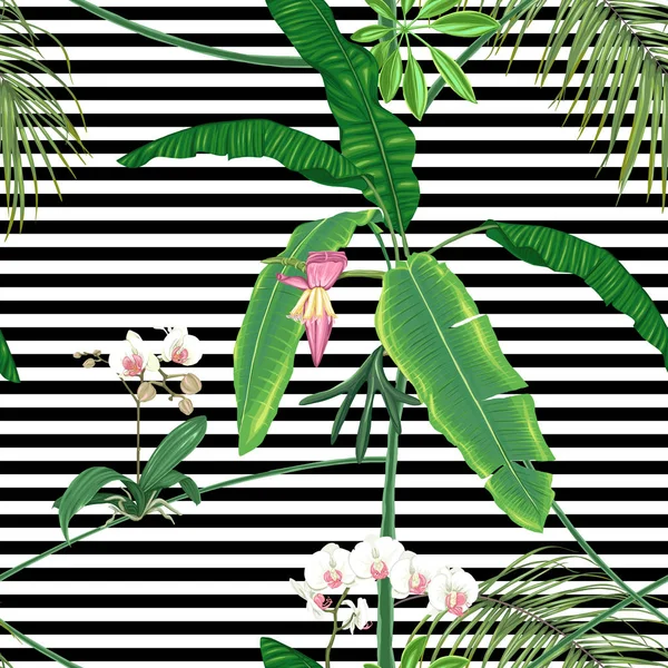Plantes Tropicales Fleurs Orchidées Blanches Modèle Sans Couture Fond Illustration — Image vectorielle