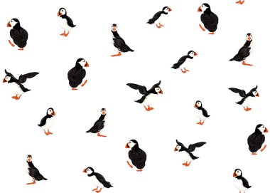 Arctic Puffins seamless modeli. Vektör çizim.