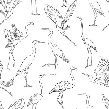 Dikişsiz desen, tropikal kuşlar ile arka plan. Beyaz balıkçıl, flamingo. Anahat el vektör çizim çizimi