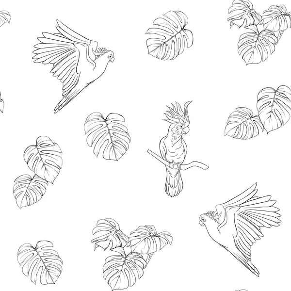Seamless Mönster Bakgrund Med Tropiska Fåglar Vit Häger Kakadua Papegoja — Stock vektor