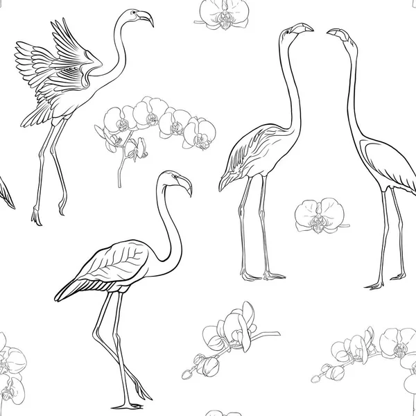 Modèle Sans Couture Fond Avec Des Oiseaux Tropicaux Flamant Rose — Image vectorielle