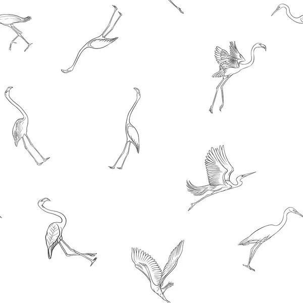 Nahtloses Muster Hintergrund Mit Tropischen Vögeln Reiher Flamingo Umriss Hand — Stockvektor