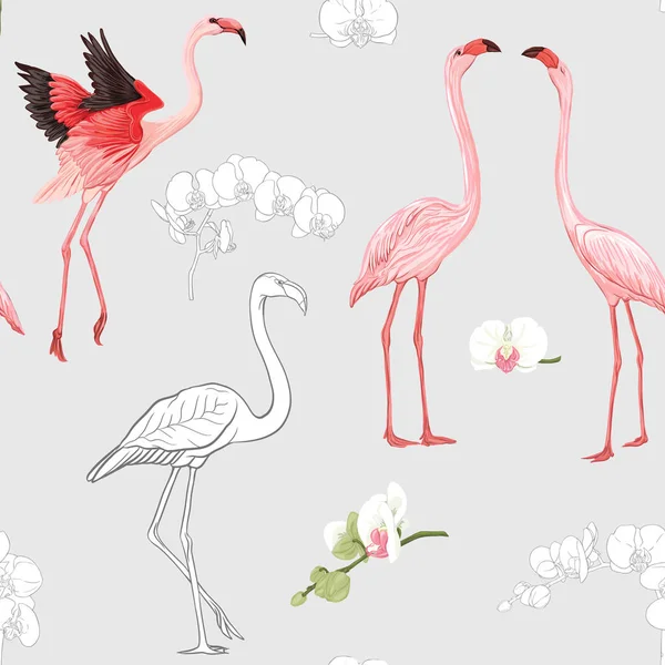 Padrão Sem Costura Fundo Com Pássaros Tropicais Flamingo Flor Orquídea — Vetor de Stock