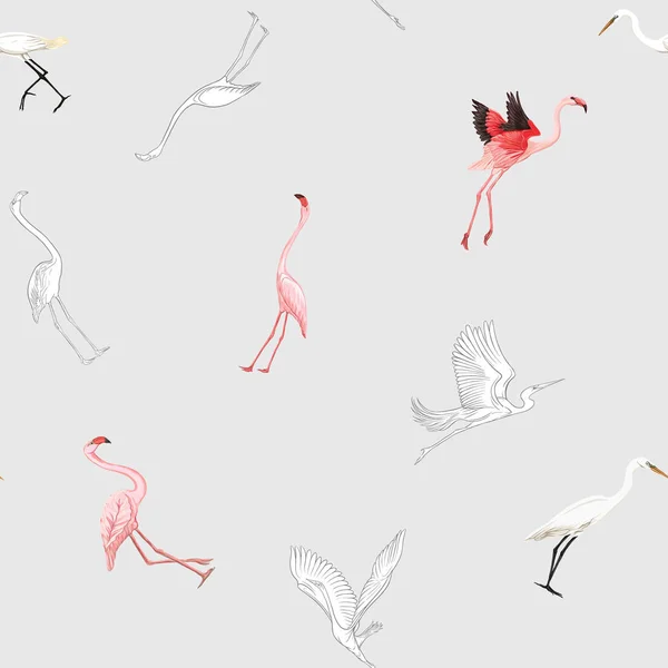 Бесшовный Рисунок Фон Тропическими Птицами Белая Цапля Фламинго Цветной Контурный — стоковый вектор