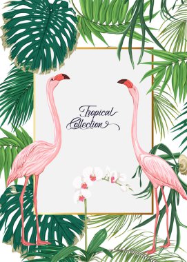 Doğum günü, davet veya tropik bitkiler ile banner için tebrik kartı için şablon, palmiye yaprakları, canavarlar ve flamingo ile beyaz orkide. Renkli vektör çizim 