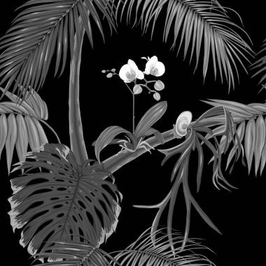 Tropik bitkiler ve beyaz orkide çiçekler. Dikişsiz desen, arka plan. Vektör çizim. Tek renkli gri renklerde
