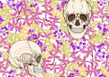 İnsan kafatasları ve bitkiler ile Seamless modeli. Renkli vektör çizim.