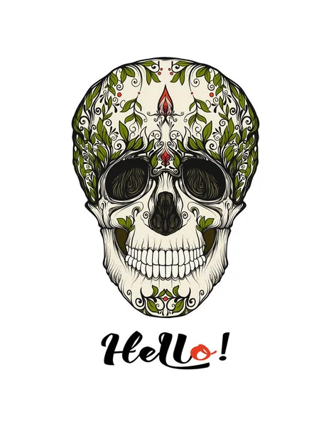 Calavera Humana Con Lema Hola Bueno Para Imprimir Camisetas Bolsos — Vector de stock