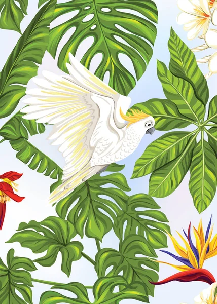 熱帯植物、花、鳥との背景 — ストックベクタ