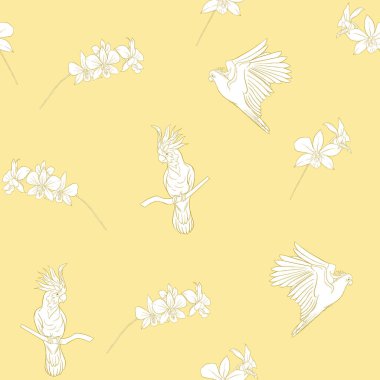 Kusursuz desen, tropikal kuşlar ile arka plan