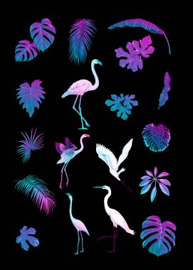 Tropik planlar, çiçekler ve kuşlar seti.