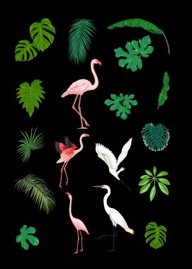 Tropik planlar, çiçekler ve kuşlar seti.