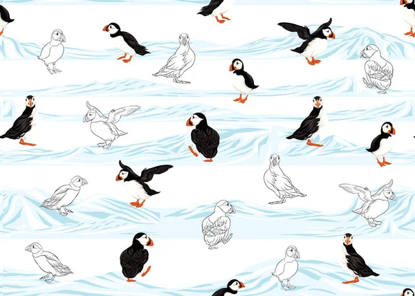 Arctic Puffins sömlösa mönster. — Stock vektor