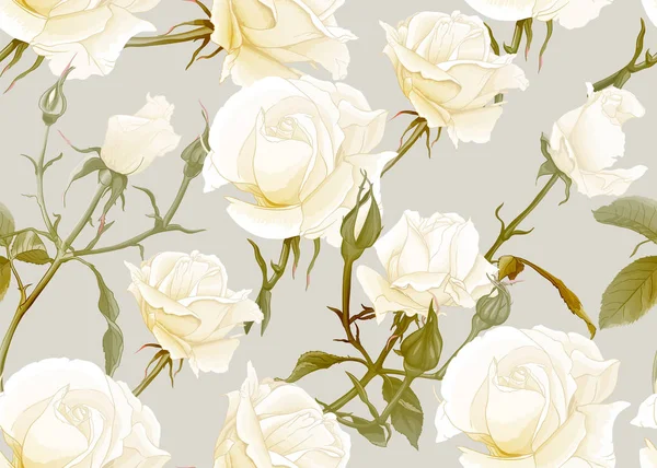 Roses seamless pattern — Stock Vector