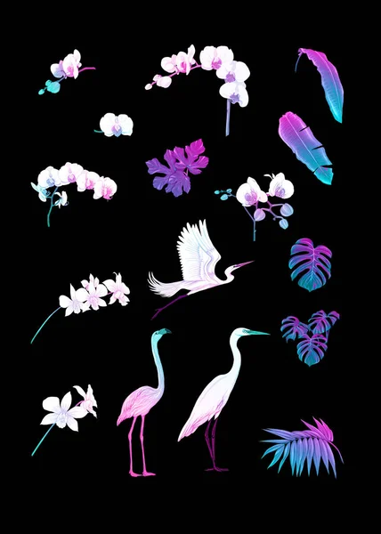 Набор тропических планов, цветов и птиц . — стоковый вектор
