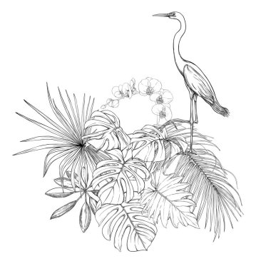 Tropikal bitkiler, palmiye yaprakları bir kompozisyon