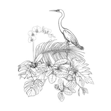 Tropikal bitkiler, palmiye yaprakları bir kompozisyon