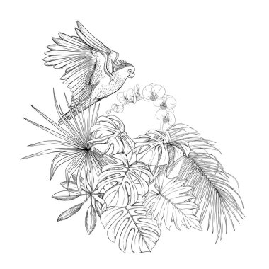 Tropikal bitkiler, palmiye yaprakları bir kompozisyon