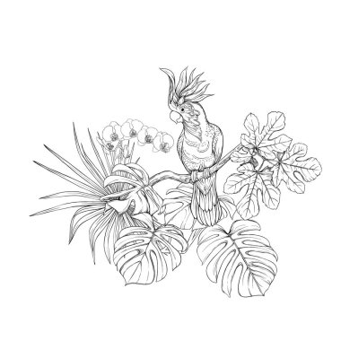 Tropikal bitkiler, palmiye yaprakları bir kompozisyon