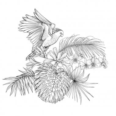 Tropikal bitkiler, palmiye yaprakları bir kompozisyon