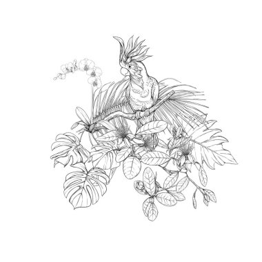 Tropikal bitkiler, palmiye yaprakları bir kompozisyon