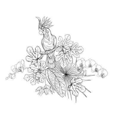 Tropikal bitkiler, palmiye yaprakları bir kompozisyon