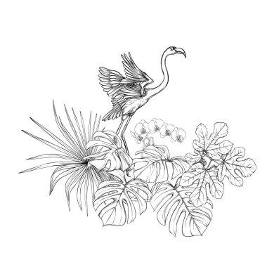 Tropikal bitkiler, palmiye yaprakları bir kompozisyon