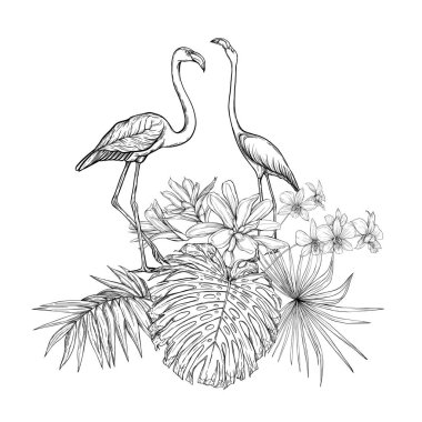 Tropikal bitkiler, palmiye yaprakları bir kompozisyon