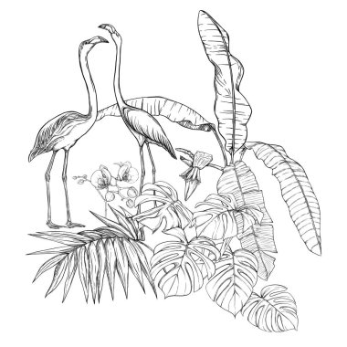 Tropikal bitkiler, palmiye yaprakları bir kompozisyon