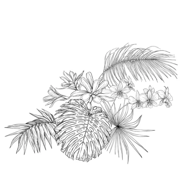 Une composition de plantes tropicales, feuilles de palmier — Image vectorielle