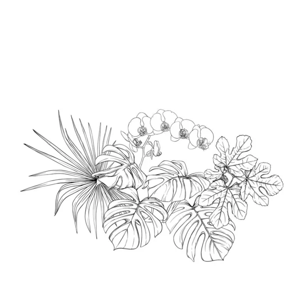 Una composición de plantas tropicales, hojas de palma — Vector de stock