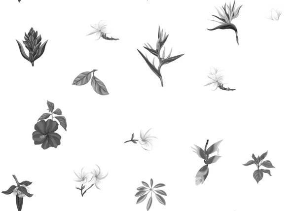 Ομαλή μοτίβο, φόντο με τροπικά φυτά — Διανυσματικό Αρχείο