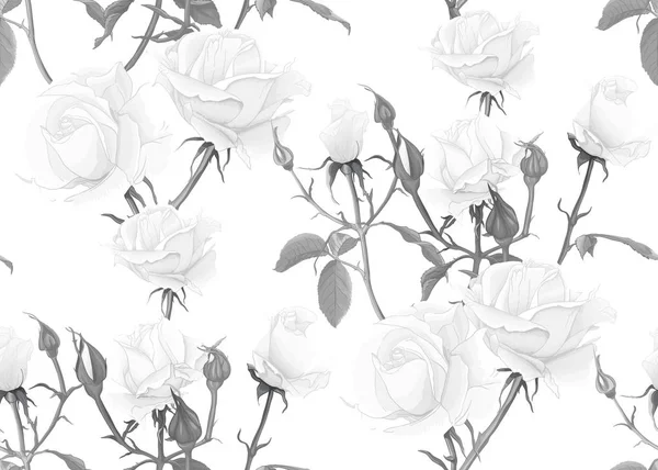 Roses seamless pattern — Stock Vector