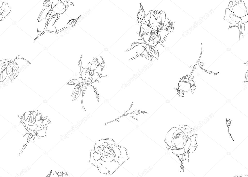 Roses seamless pattern
