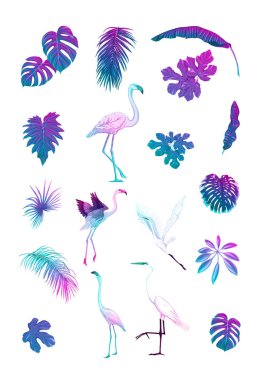 Tropik planlar, çiçekler ve kuşlar seti.