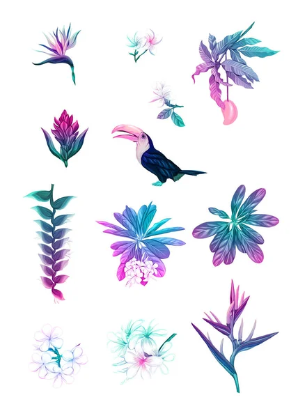 Tropische Pläne, Blumen und Vögel. — Stockvektor