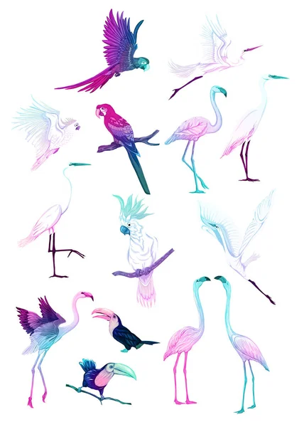 Serie di piani tropicali uccelli — Vettoriale Stock