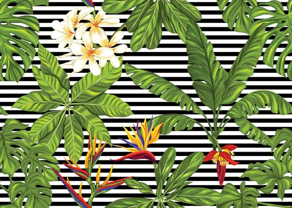 Modèle sans couture, fond avec des plantes tropicales — Image vectorielle