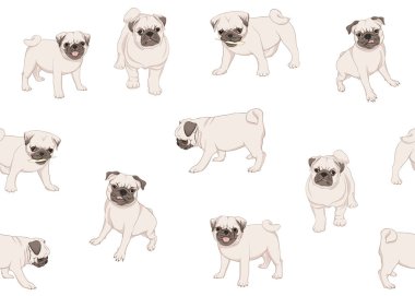 Pug köpek vektör illüstrasyon.
