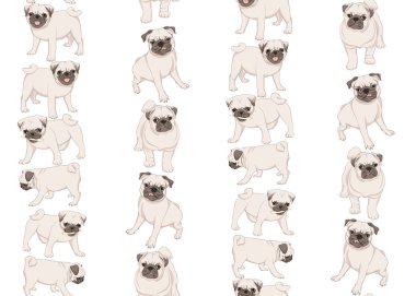 Pug köpek vektör illüstrasyon.