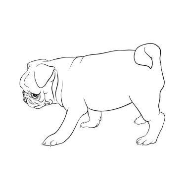 Pug köpek vektör illüstrasyon.