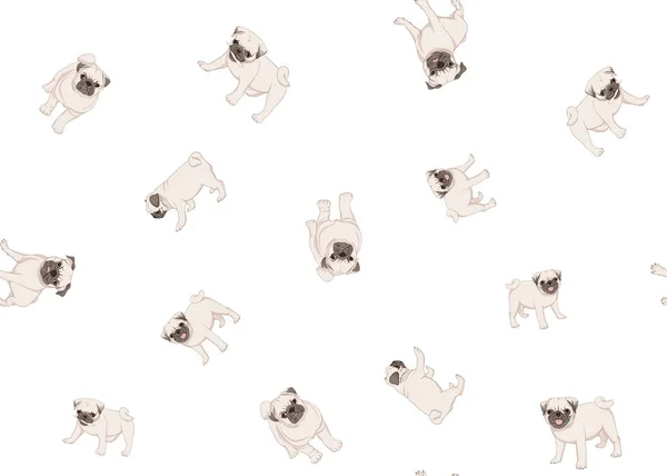 Pug perro vector ilustración . — Archivo Imágenes Vectoriales