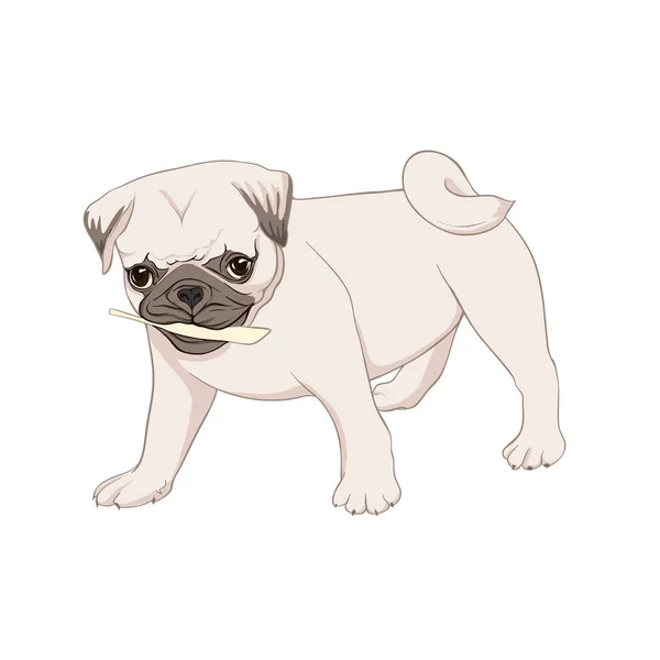 Pug cão vetor ilustração . — Vetor de Stock