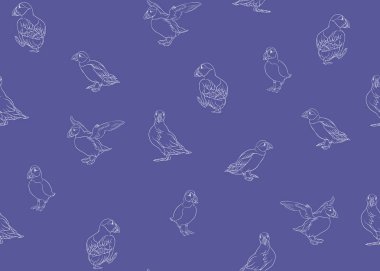Arctic Puffins dikişsiz desen.