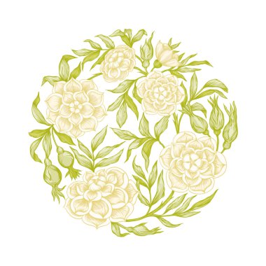 Tasarım için Gül Çiçekleri Elementleri.