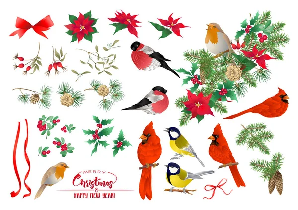 鳥とクリスマスの花輪セット — ストックベクタ