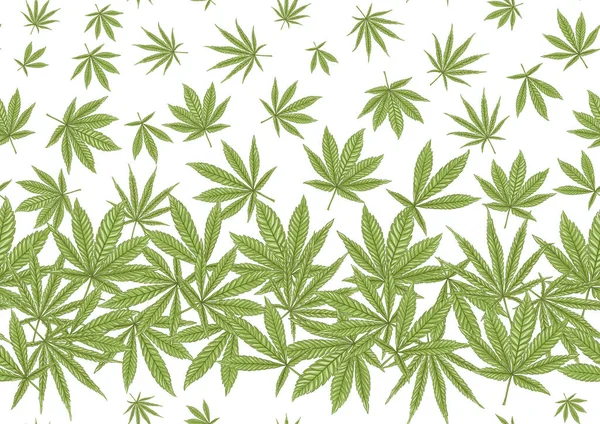 Cannabis deixa padrão sem costura, fundo. — Vetor de Stock