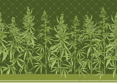 Kenevir, kenevir pürüzsüz desen, arka plan.