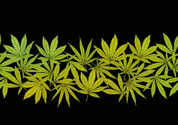 Cannabis hinterlässt nahtloses Muster, Hintergrund. — Stockvektor